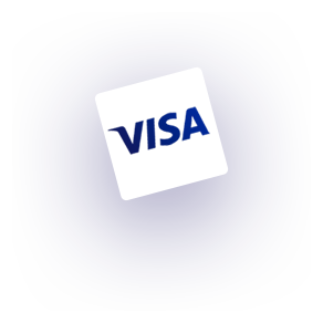 Visa - Accept Payments Online